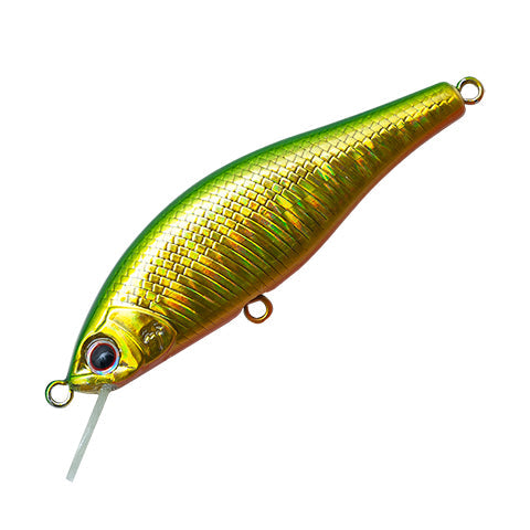 Palms Alexandra FS AX-50FS