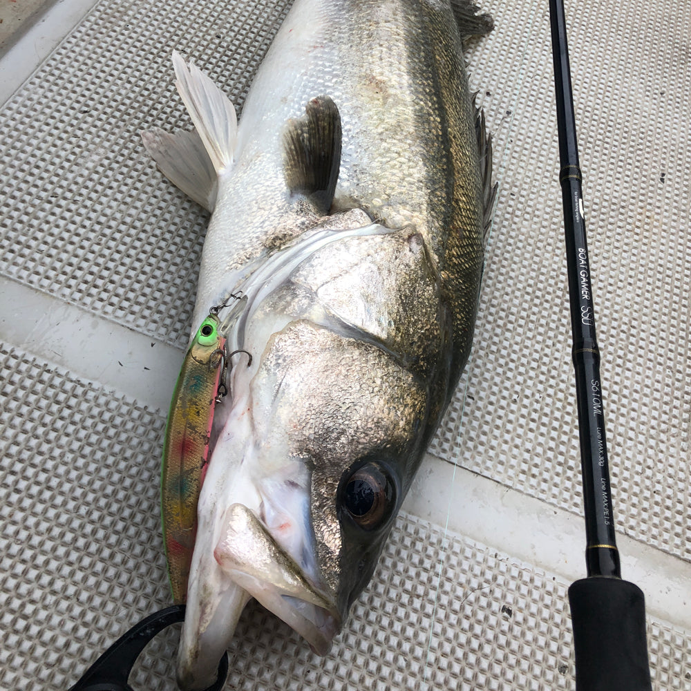 Tailwalk BOAT GAMER SSD