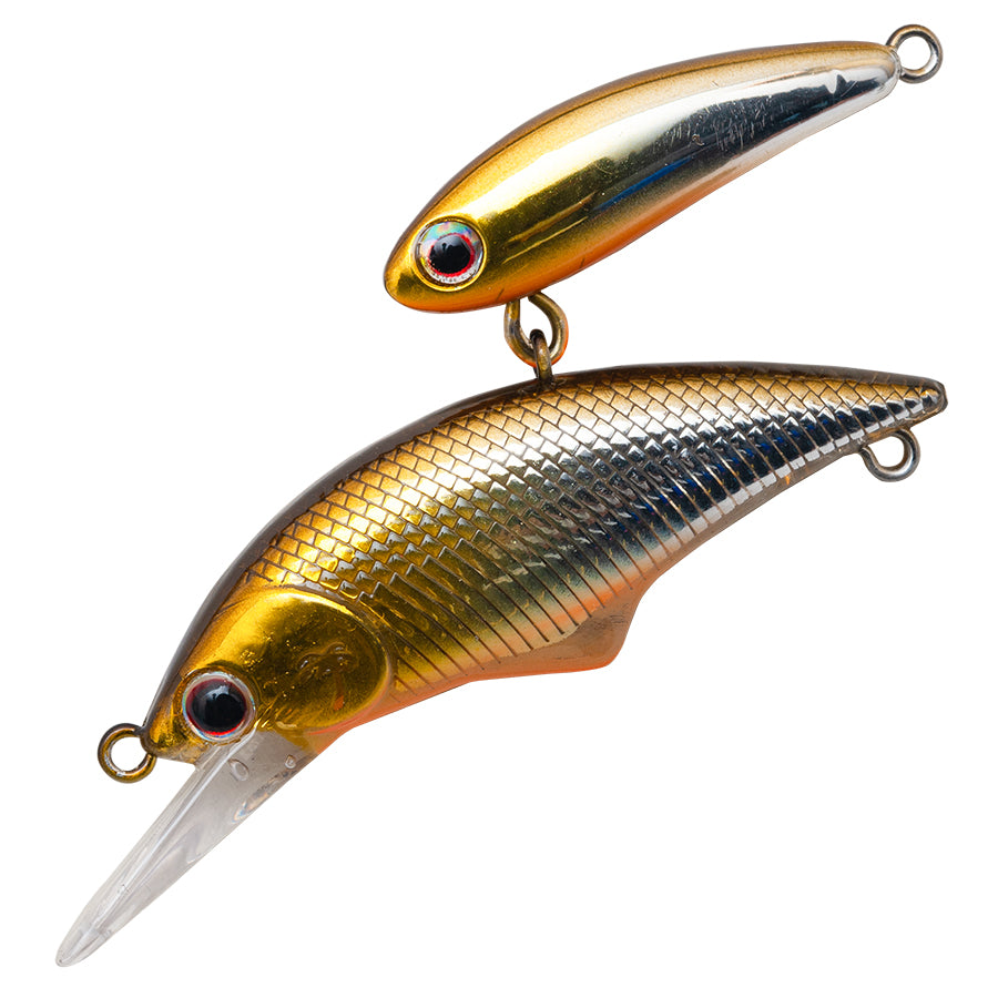 Palms Alexandra Shade AXS50S HMSS