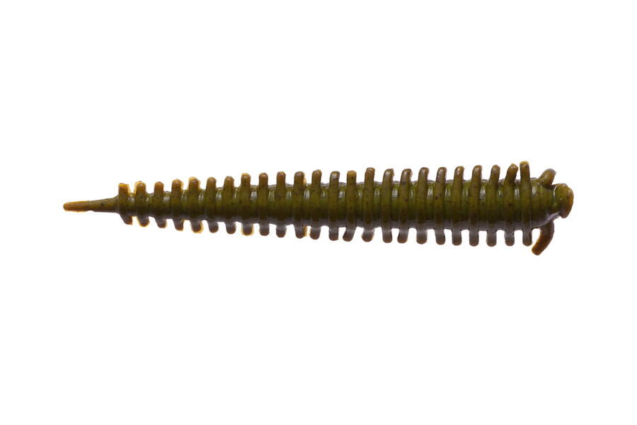Berkley Sandworm 2