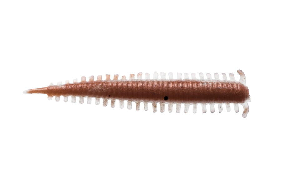 Berkley Sandworm 2