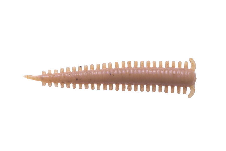 Berkley Sandworm 2