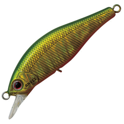 Palms Alexandra HW AX-70HW