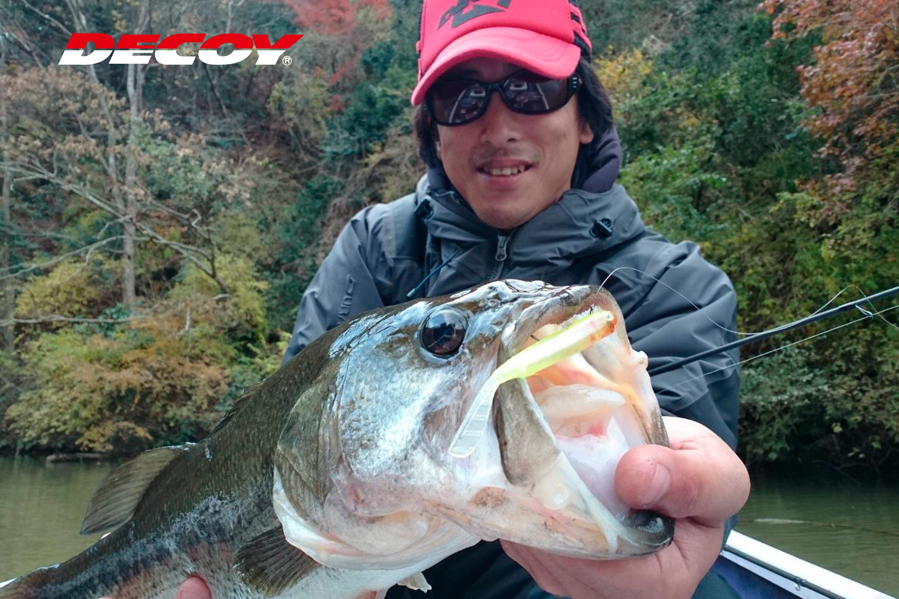 Decoy JIG 53F 60* Limerick-F