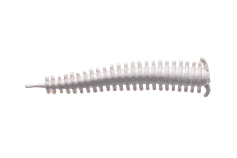 Berkley Sandworm 2